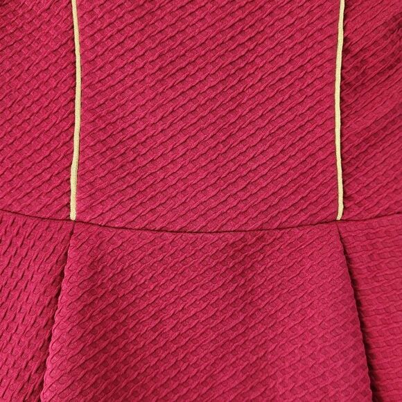 Burgundy Textured Dress with Gold Trim - Picture 5 of 8
